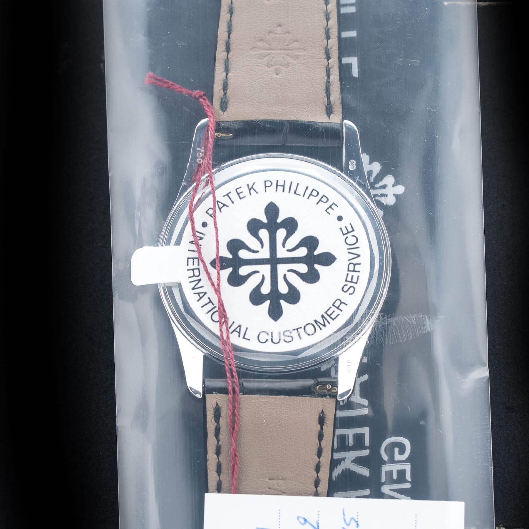 Patek Philippe 6000G-001 Calatrava