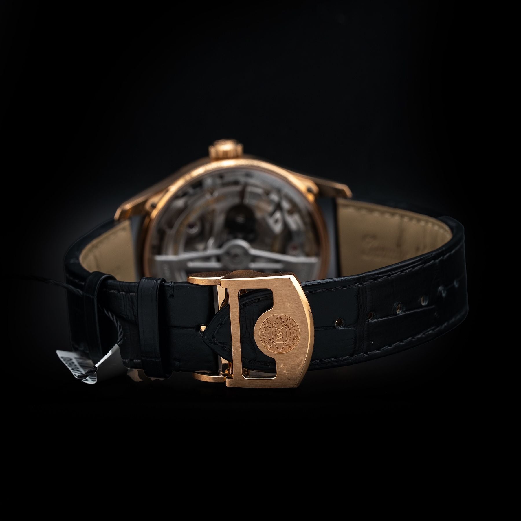 IWC IW501707 Portuguese Automatic