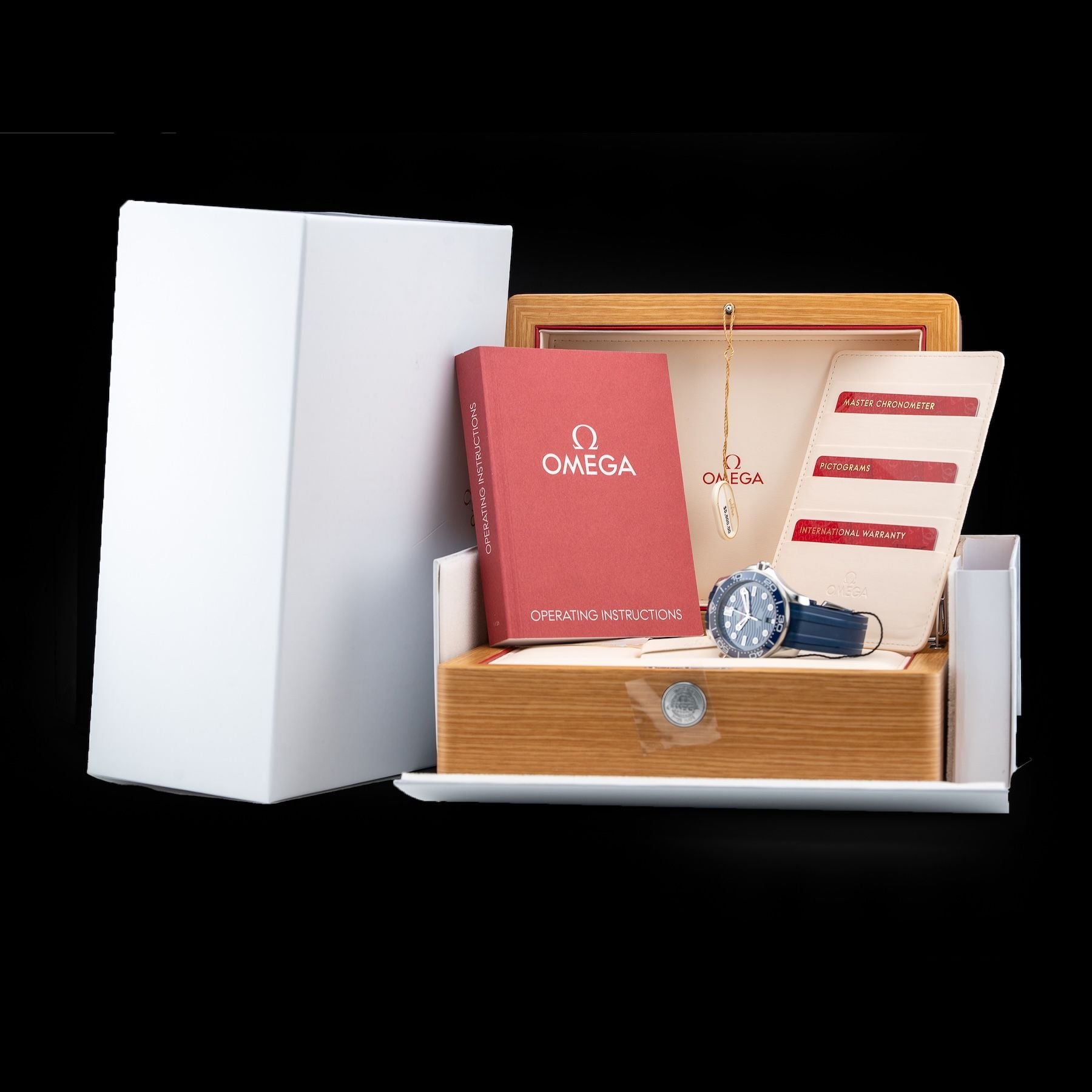 Omega 210.32.42.20.03.001 Seamaster Diver 300M Co-Axial Master Chronometer on Rubber Strap