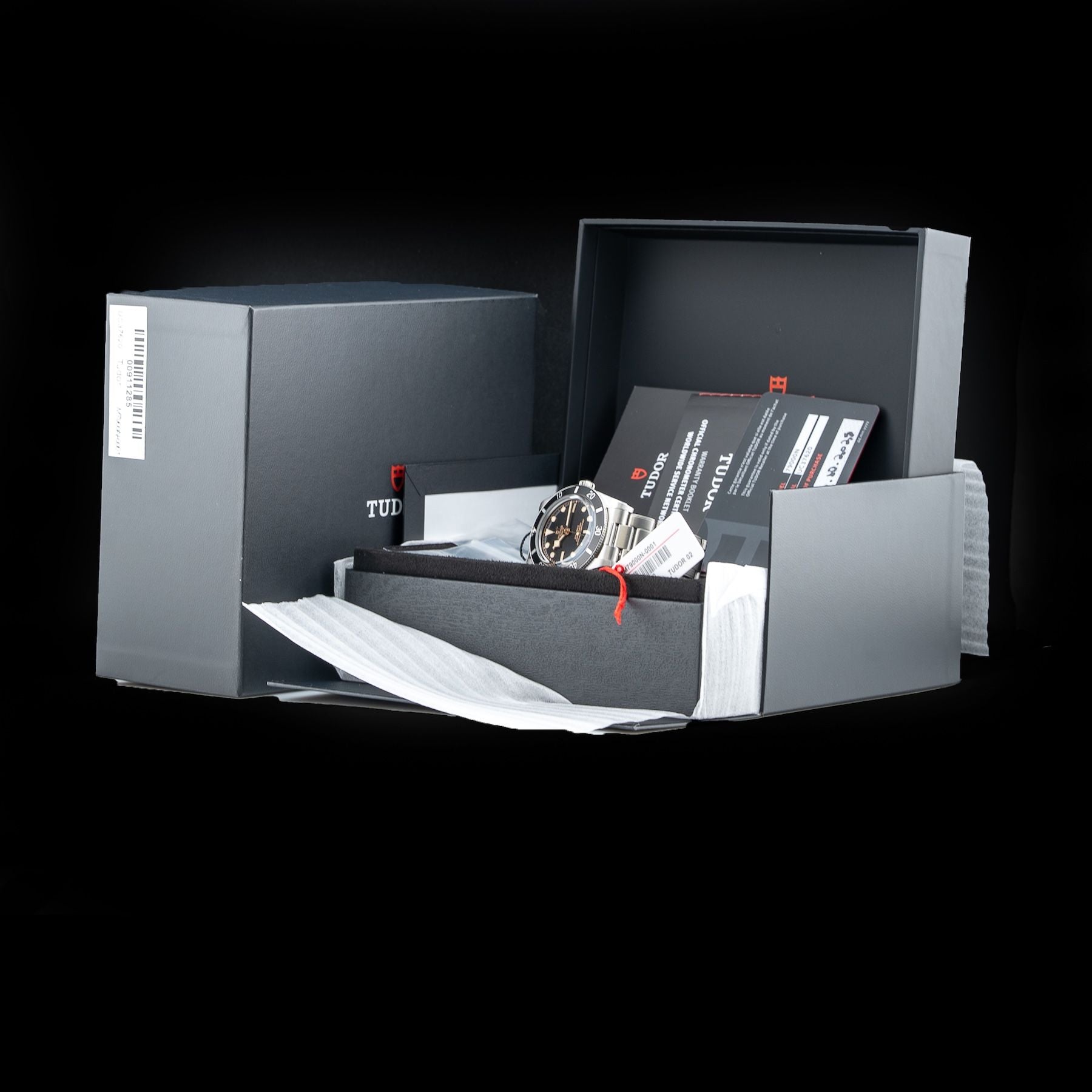 TUDOR M7900N-0001 Black Bay 54