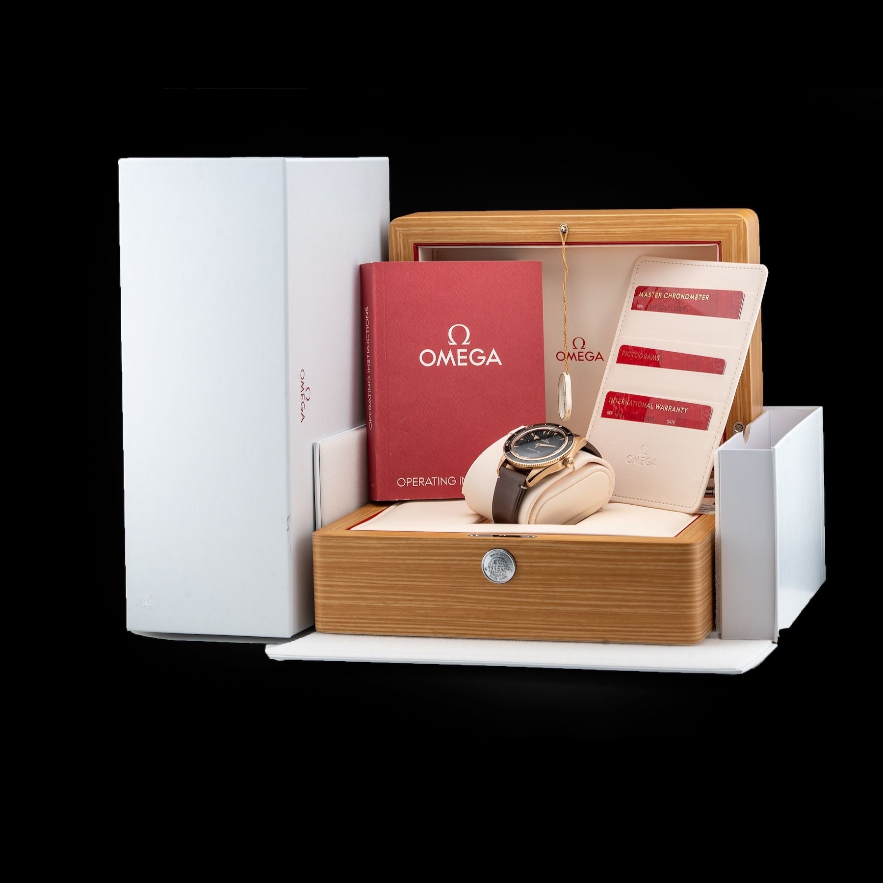 Omega Seamaster 300 Bronze Gold