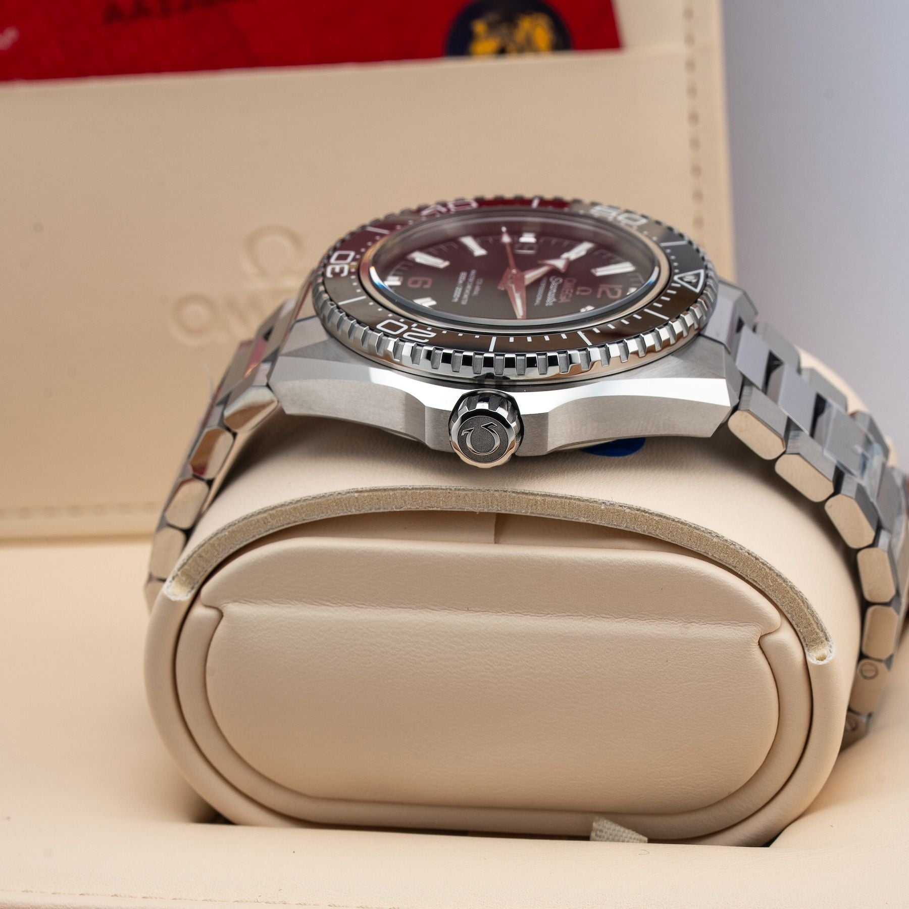 Omega 217.30.42.21.01.001 Seamaster Planet Ocean 600M