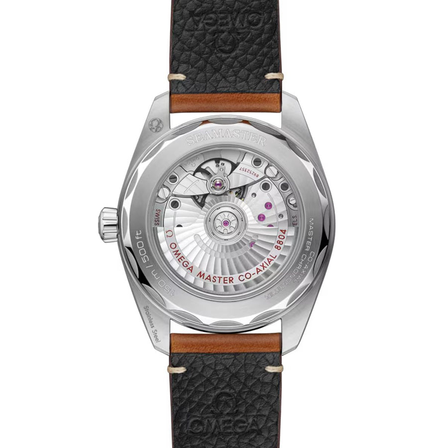 Omega 235.12.38.20.13.001 Railmaster on Strap