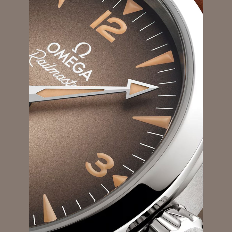Omega 235.12.38.20.13.001 Railmaster on Strap