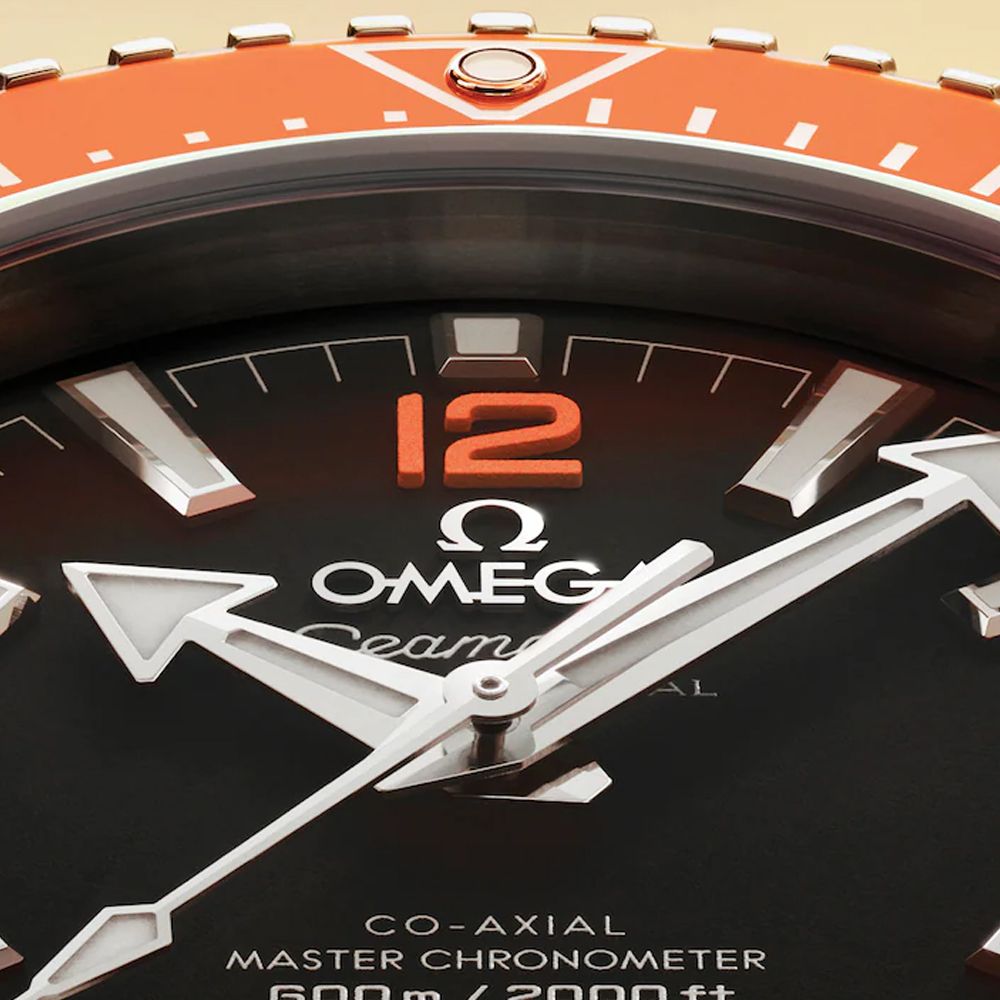 Omega 217.30.42.21.01.003 Seamaster Planet Ocean 600M
