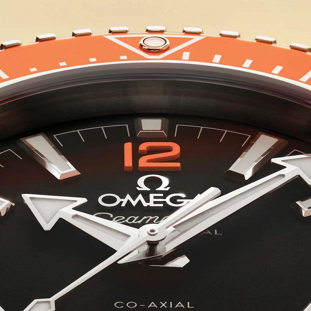 Omega 217.32.42.21.01.003 Seamaster Planet Ocean 600M