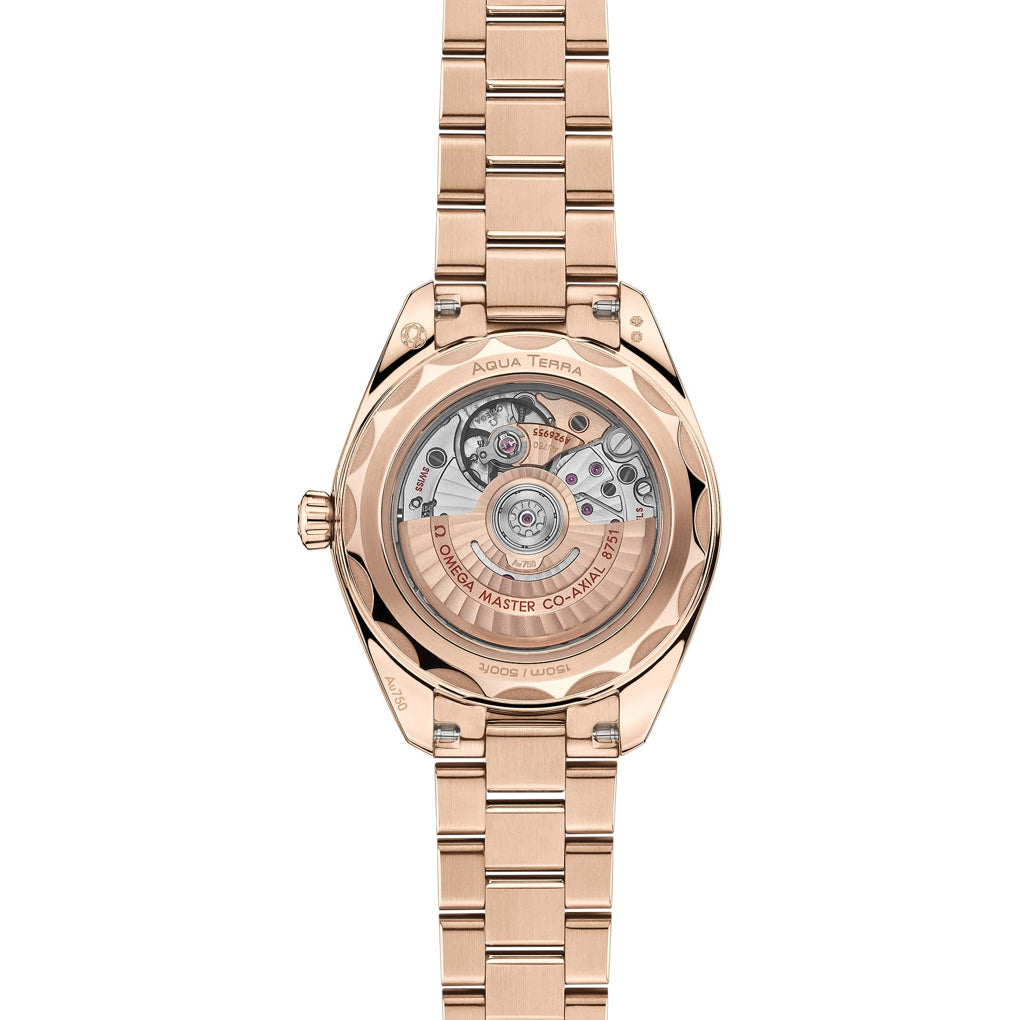 Omega Seamaster Aqua Terra 150m 220.55.30.20.61.001