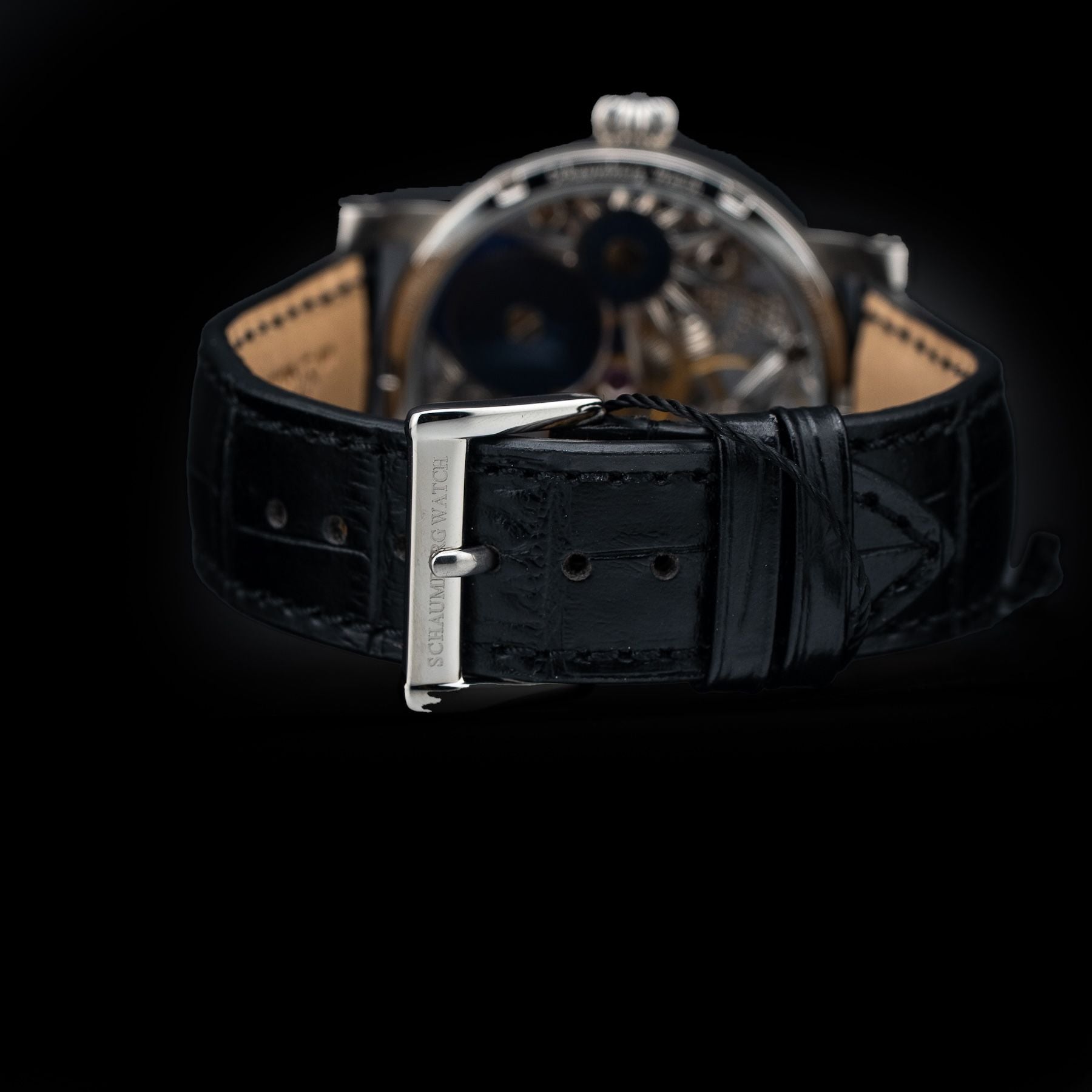 Schaumburg Watch Ice Crystal II
