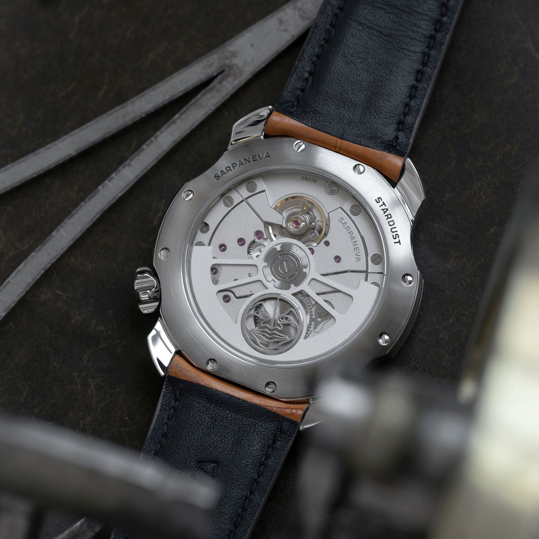 Sarpaneva Stardust Mars