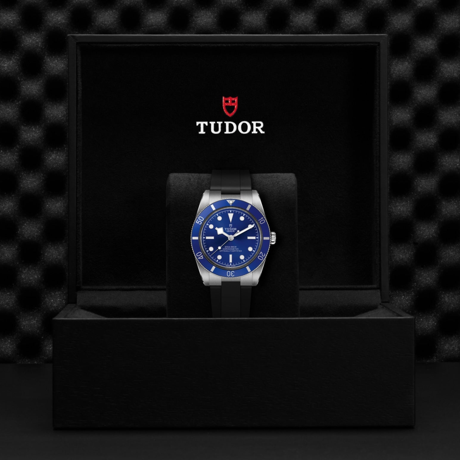 TUDOR Black Bay 54 M79000B-0002