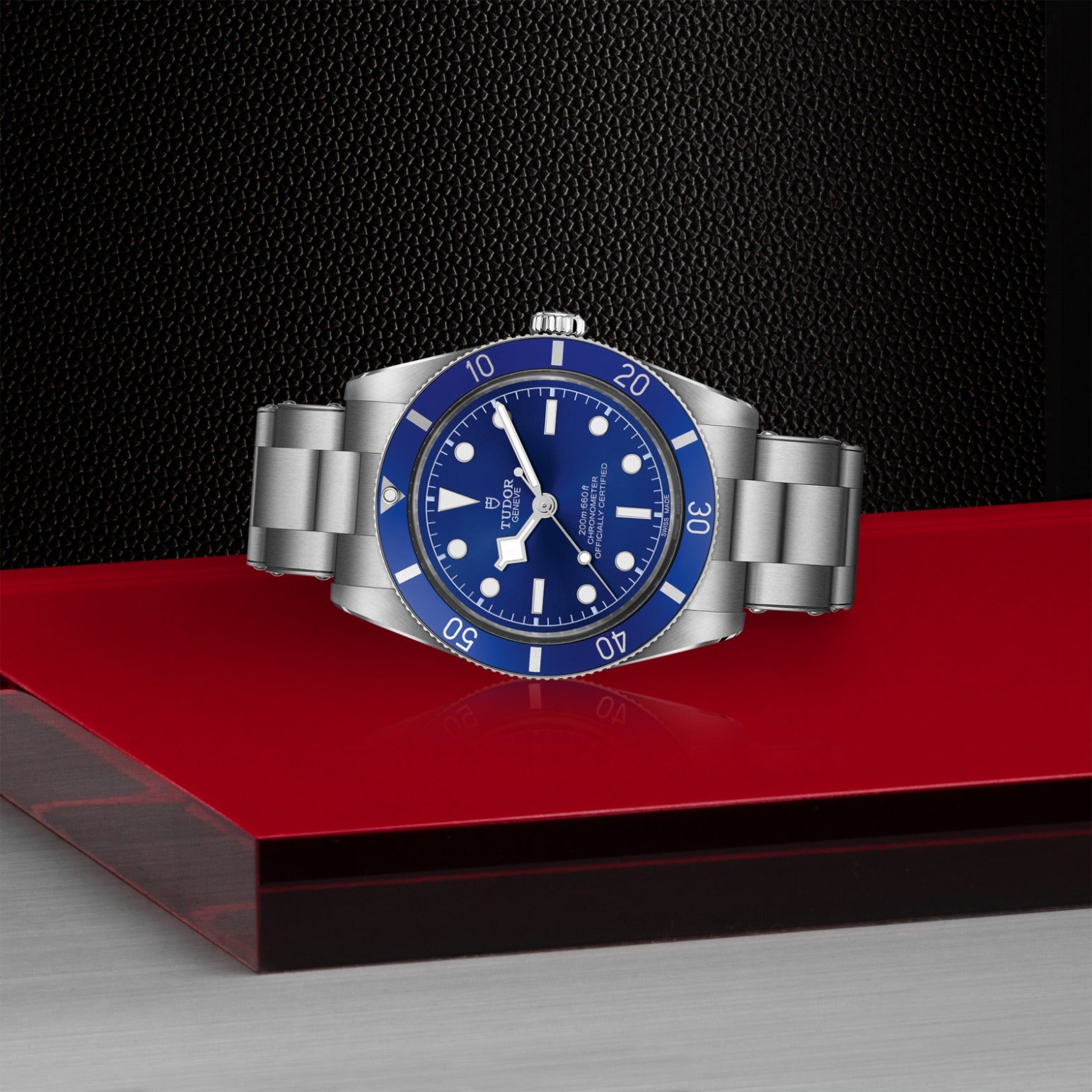 TUDOR Black Bay 54 M79000B-0001