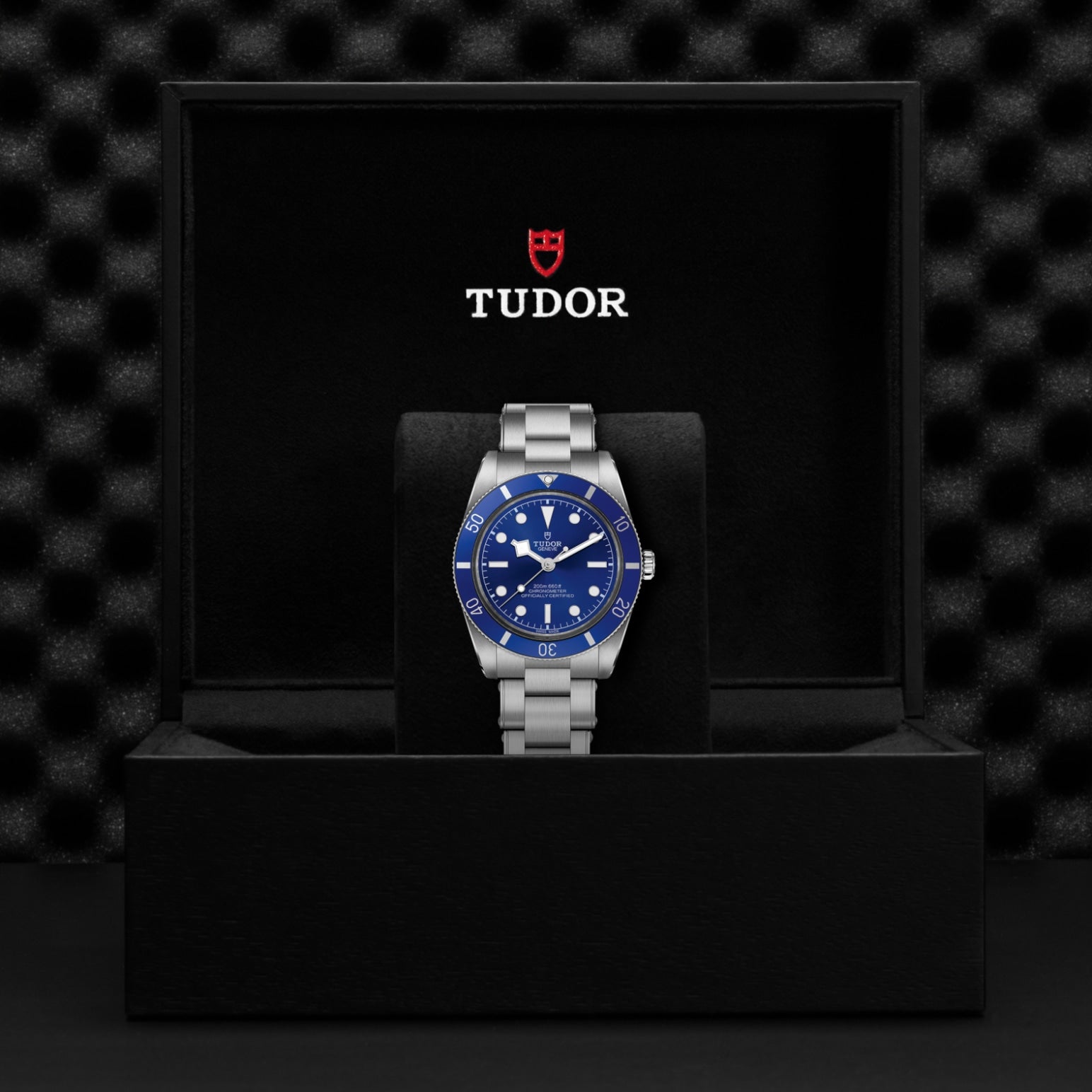 TUDOR Black Bay 54 M79000B-0001
