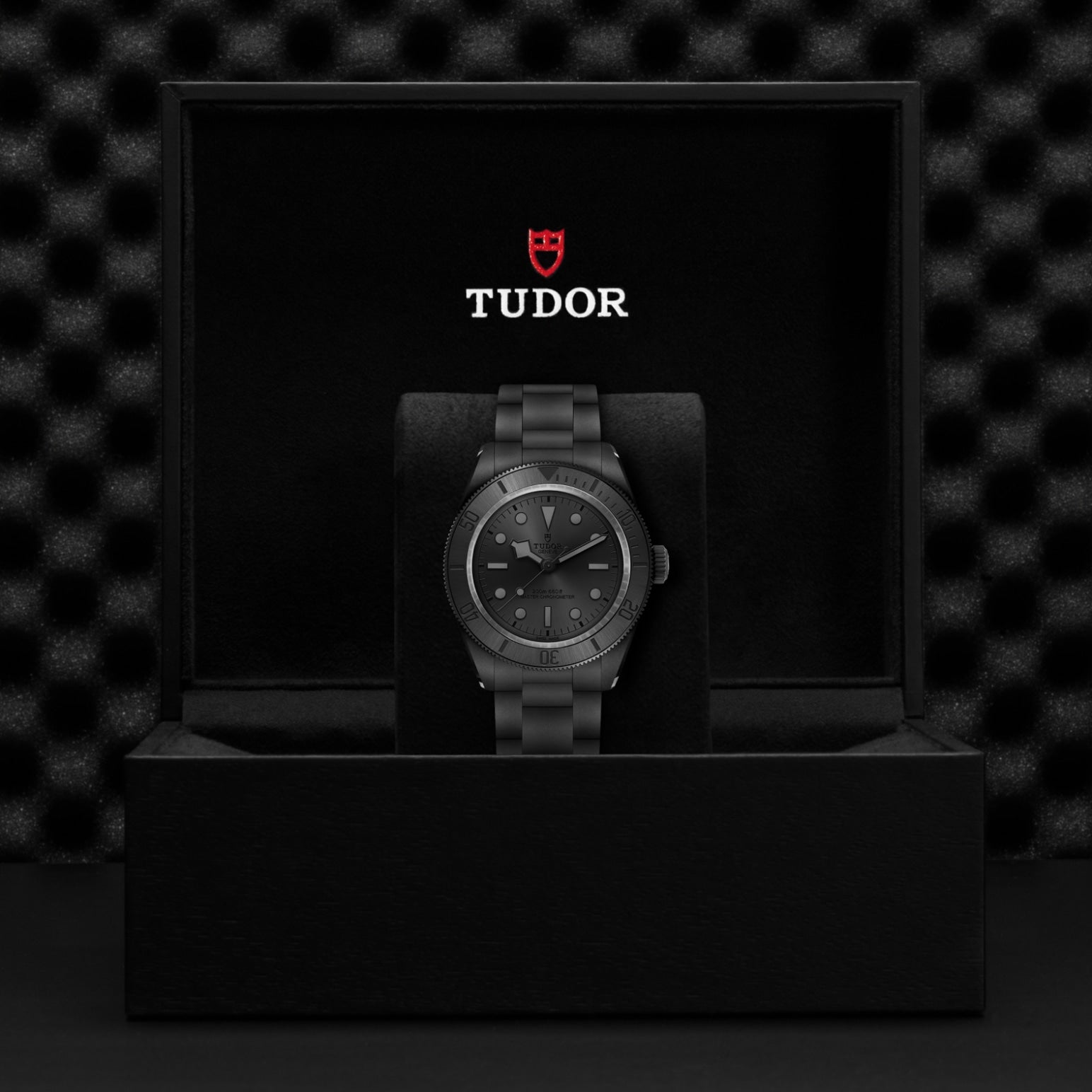 TUDOR Black Bay Ceramic M7941A1ACNU-0001
