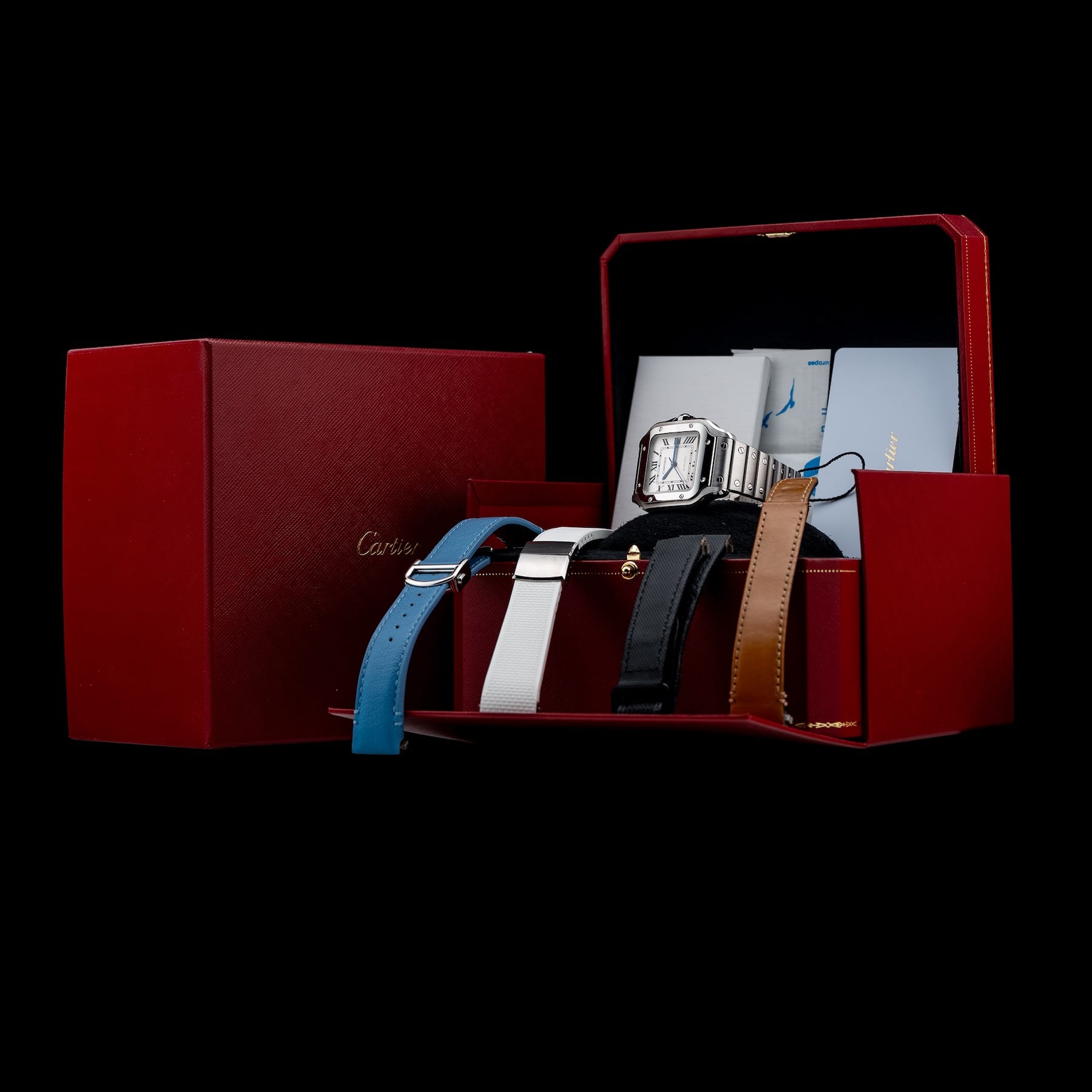 Cartier WSSA0029 Santos De Cartier Steel