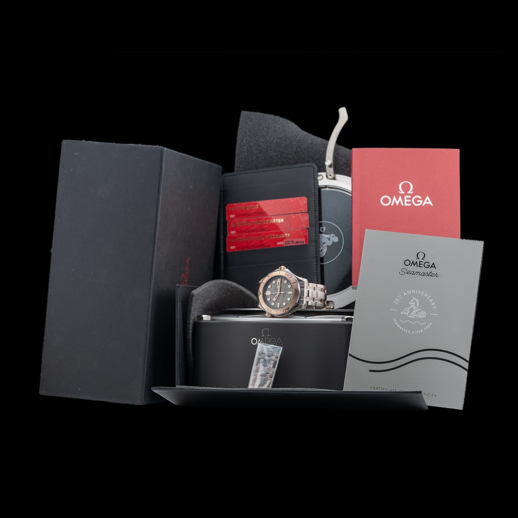 Omega Seamaster Diver 300M 210.60.42.20.99.001