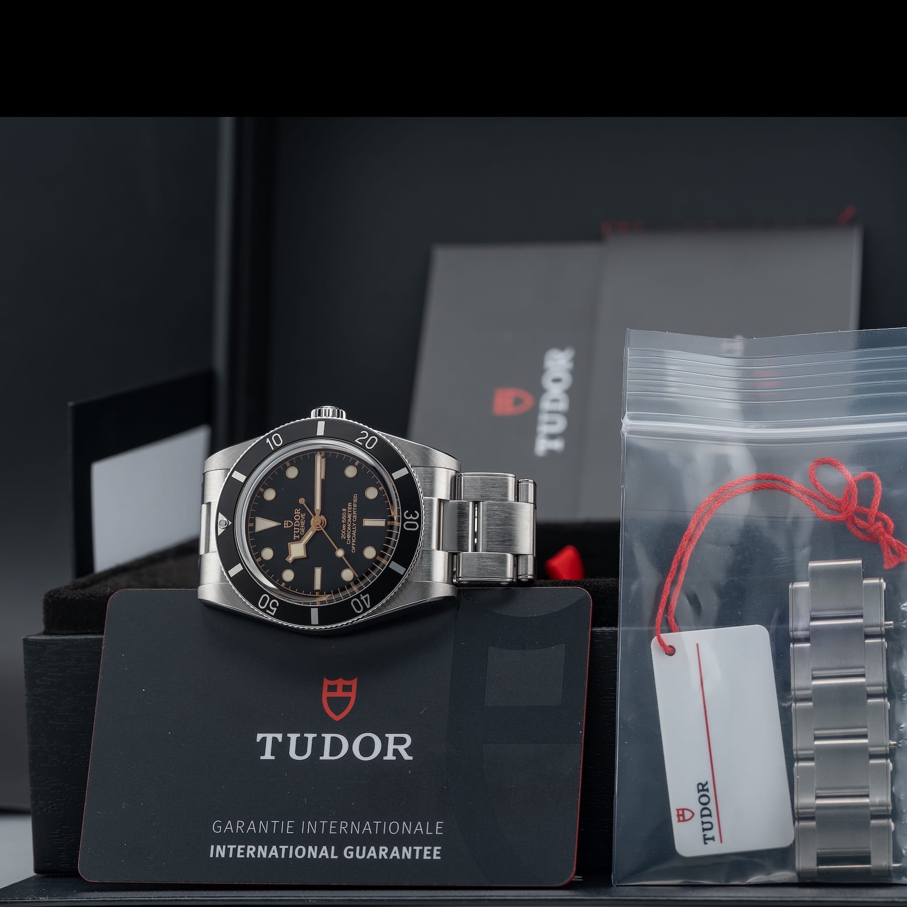 TUDOR Black Bay 54 M79000N-0001