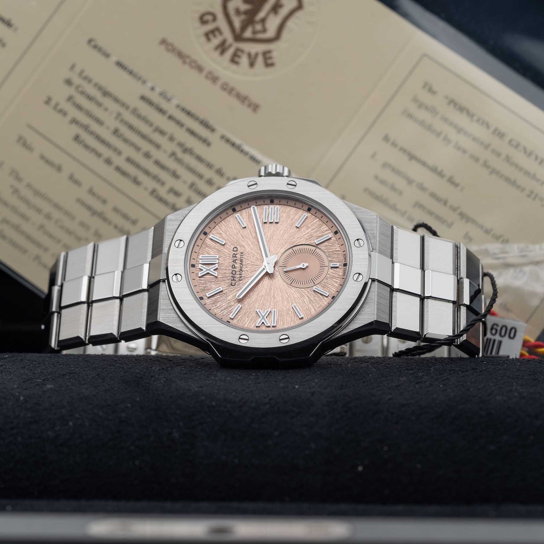 Chopard Alpine Eagle 298623-3001