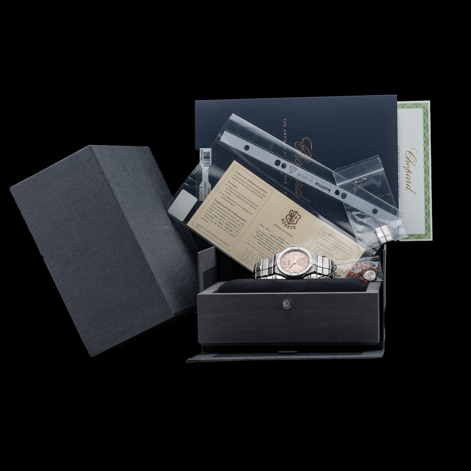 Chopard Alpine Eagle 298623-3001