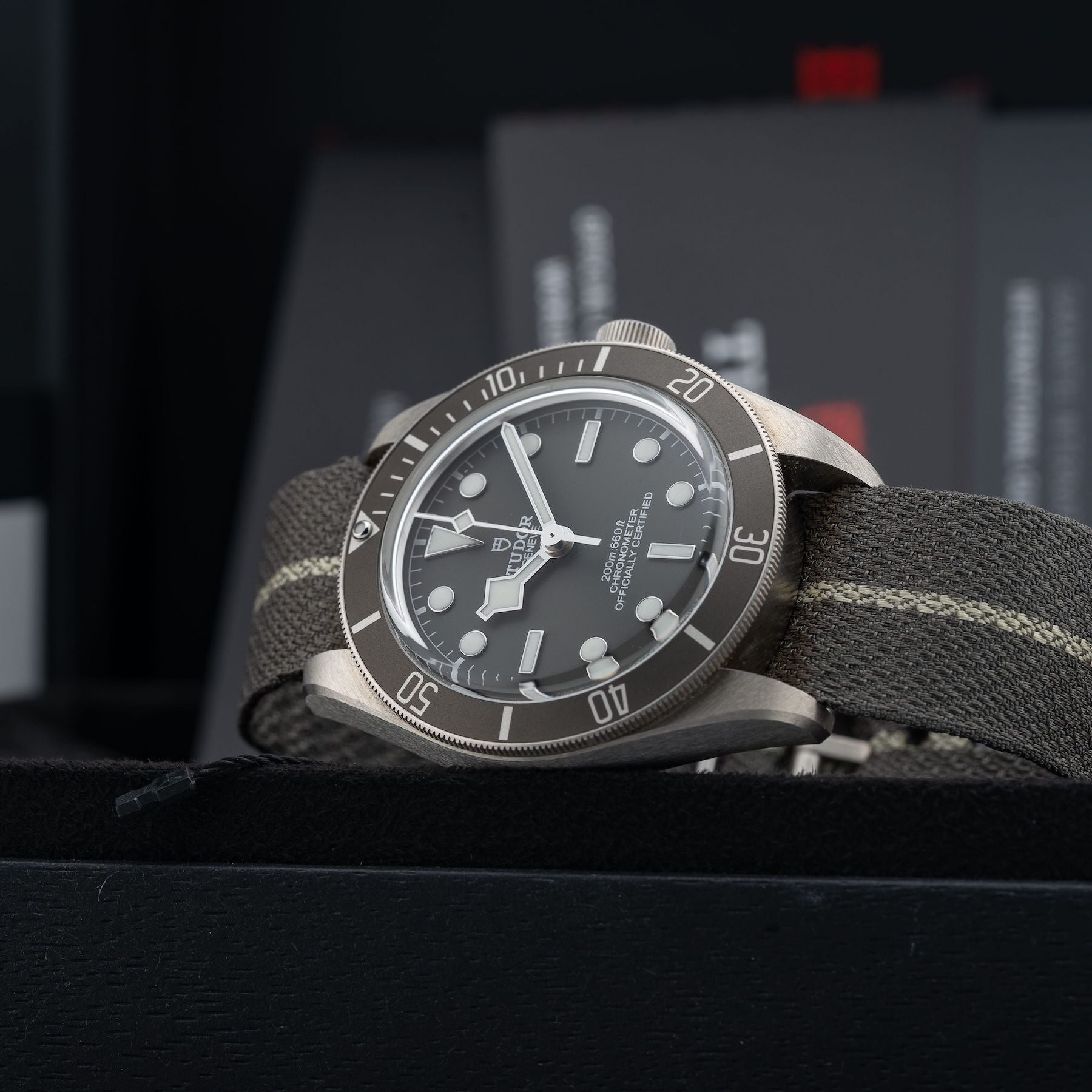 TUDOR Black Bay Fifty-Eight M79010SG-0002
