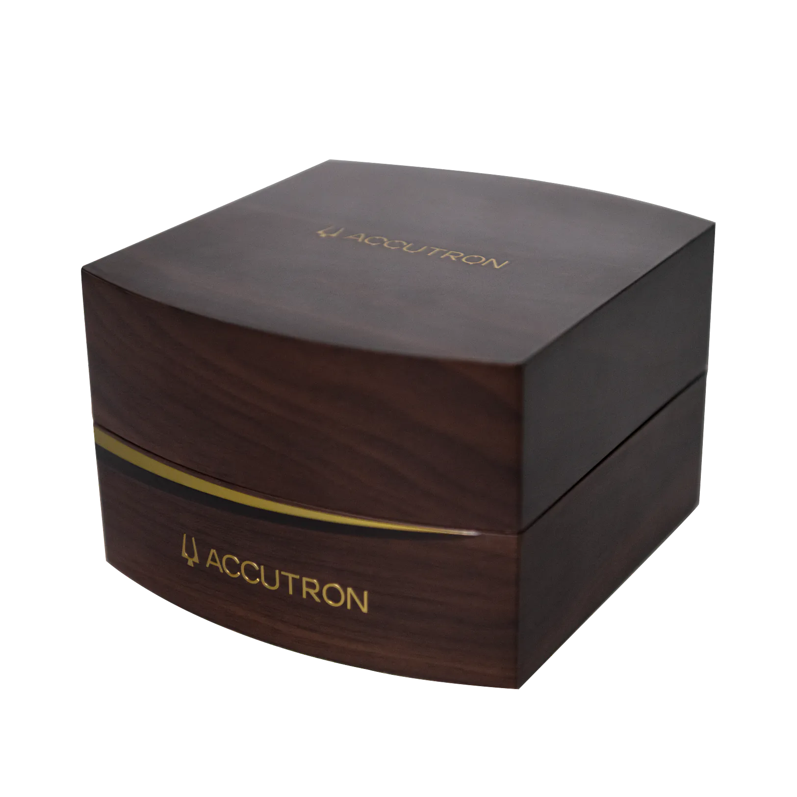 Accutron Elevation Resonator Black 26A221
