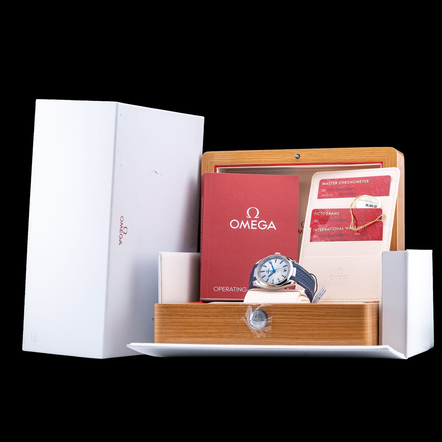 Omega 220.12.41.21.06.001 Seamaster Aqua Terra