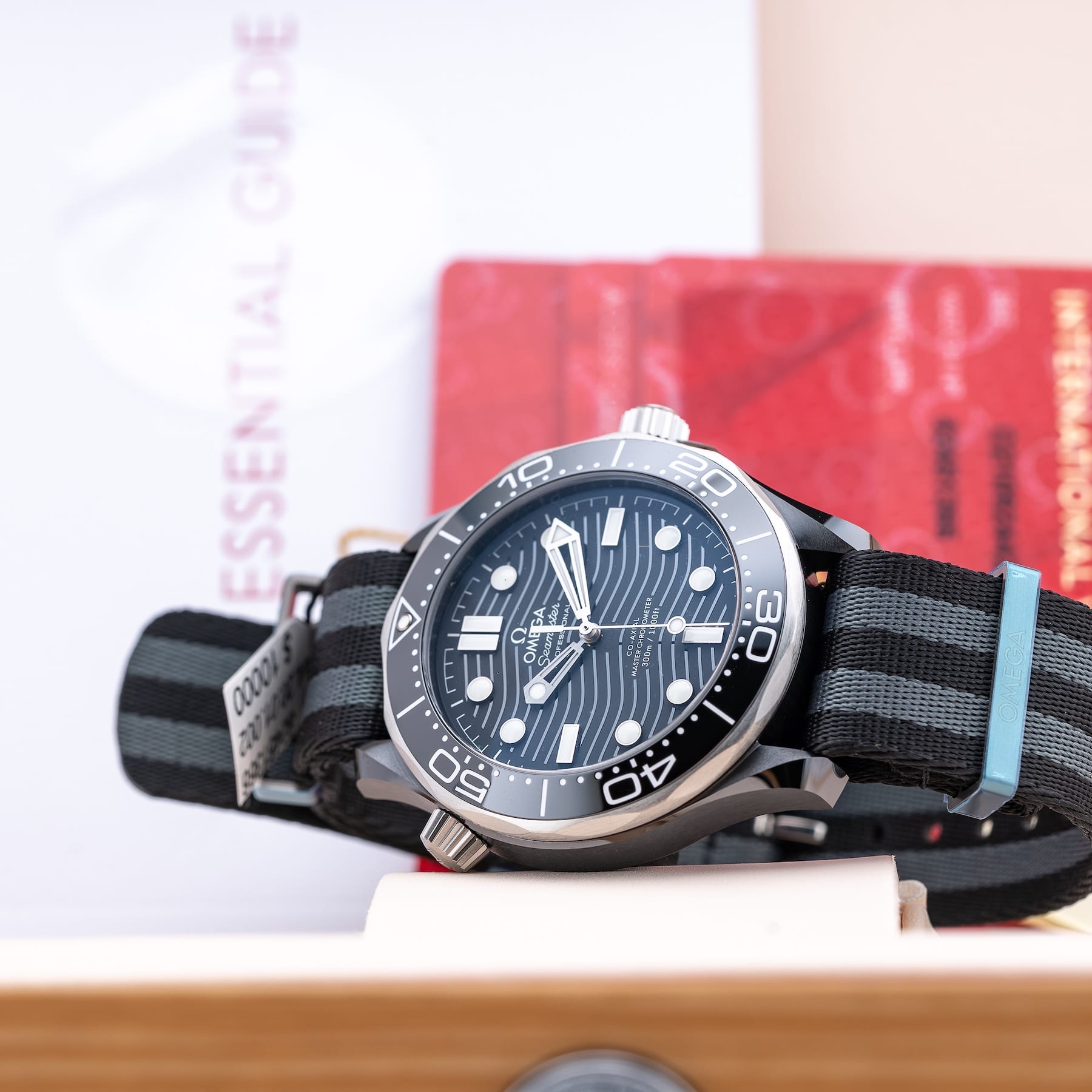 Omega Seamaster Diver 300M Black Ceramic Master Chronometer 210.92.44.20.01.002