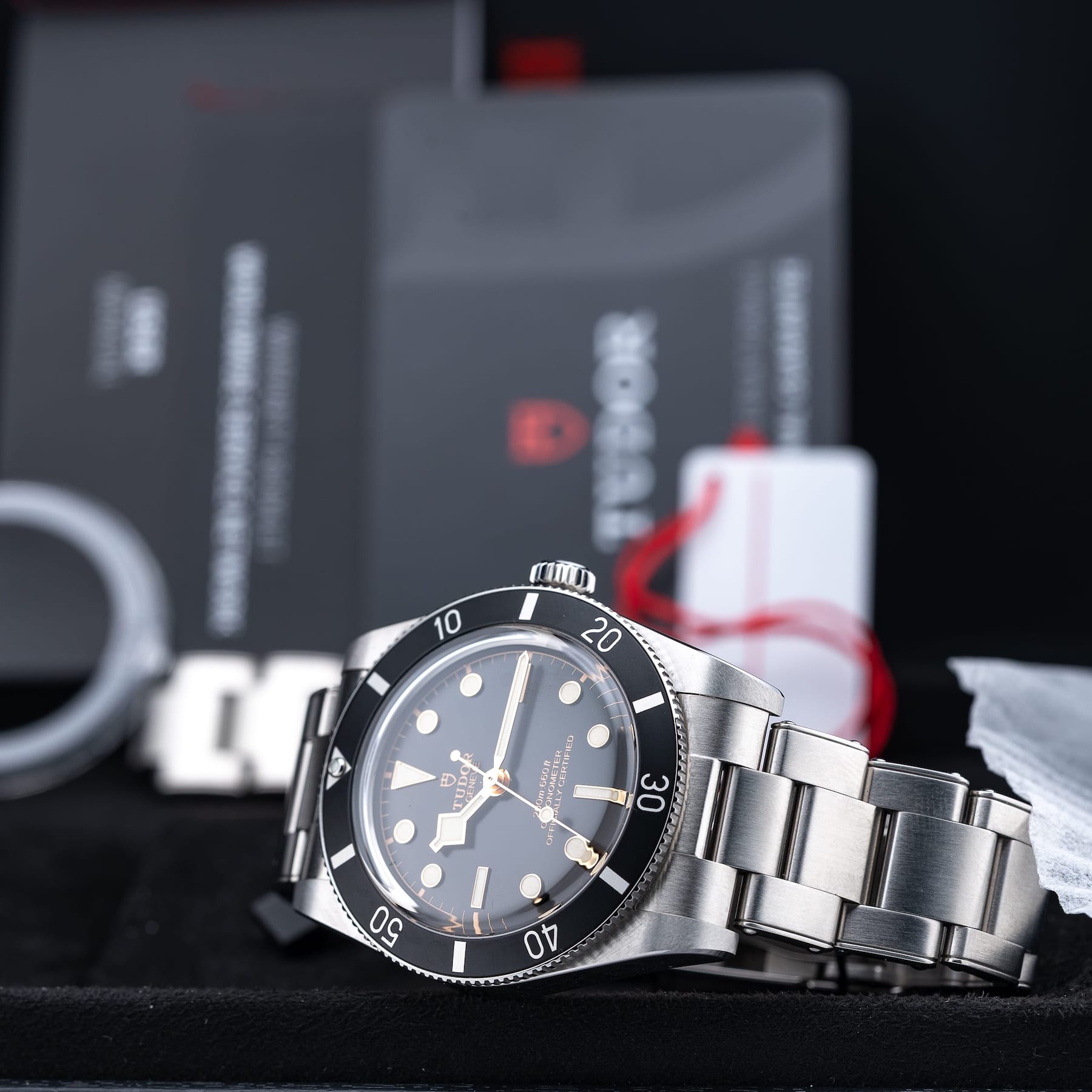 TUDOR Black Bay 54 M79000N-0001