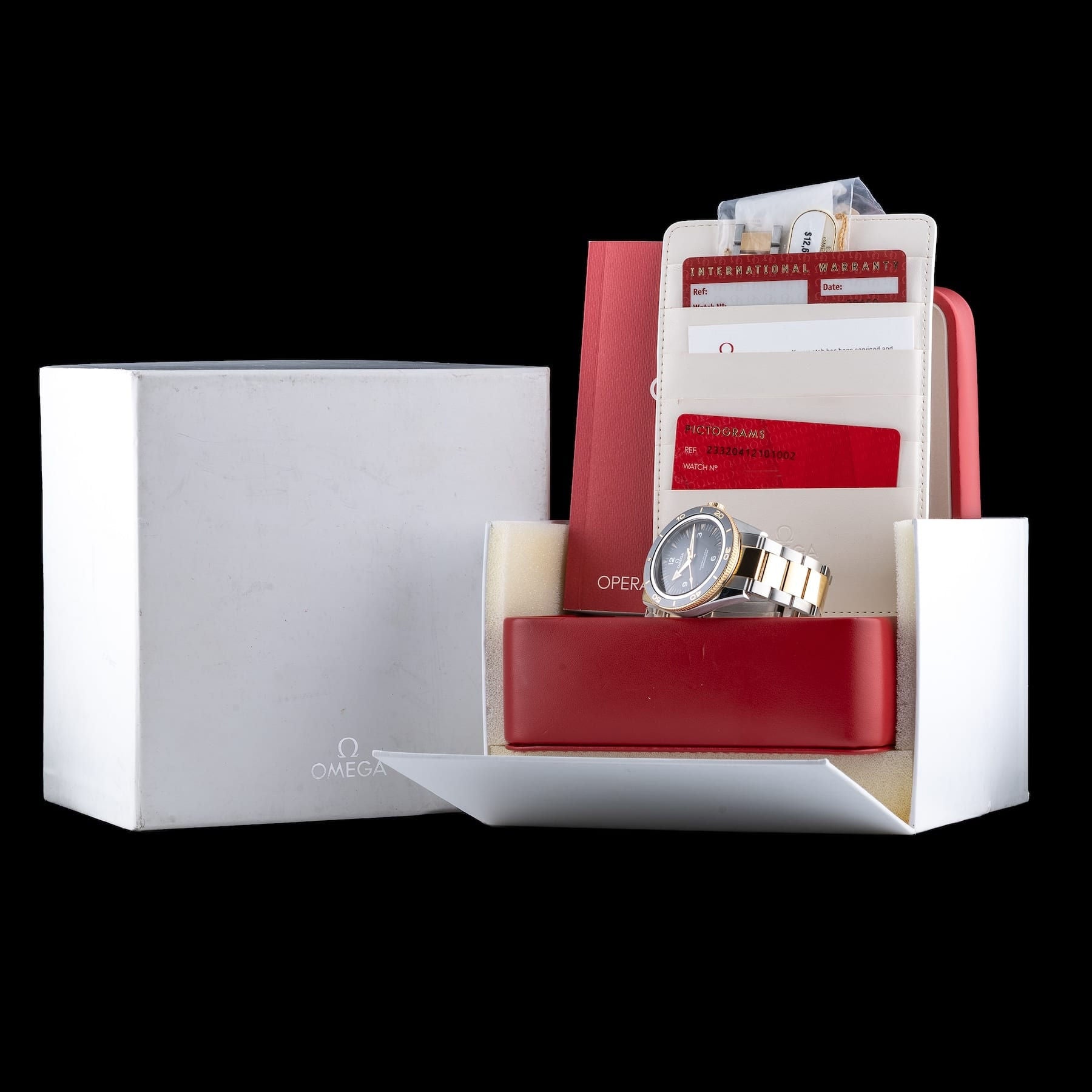 Omega Seamaster 300 233.20.41.21.01.002