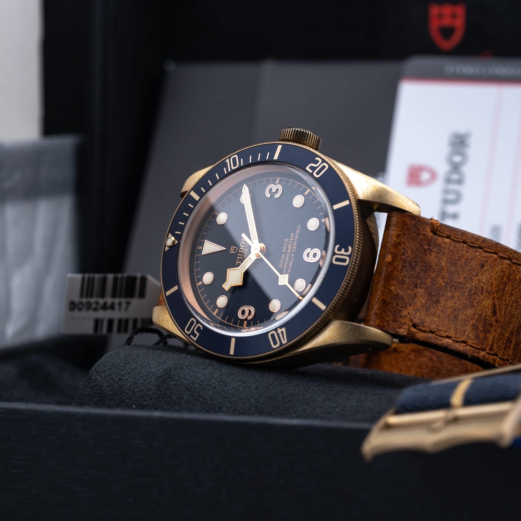 Tudor Heritage Black Bay Bronze 79250BB