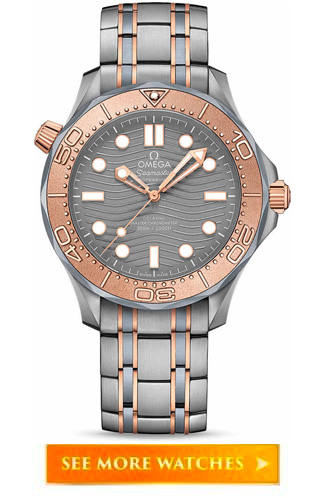 Omega Two Tone